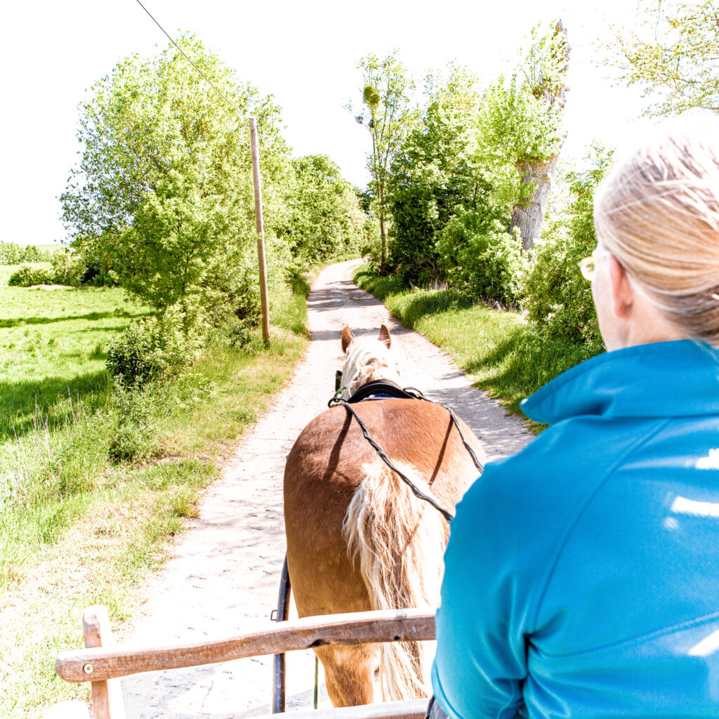 Urlaub im Planwagen