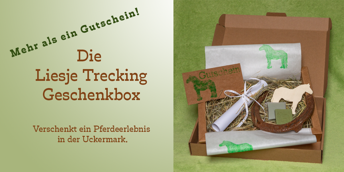 Lisje Trecking Geschenkbox